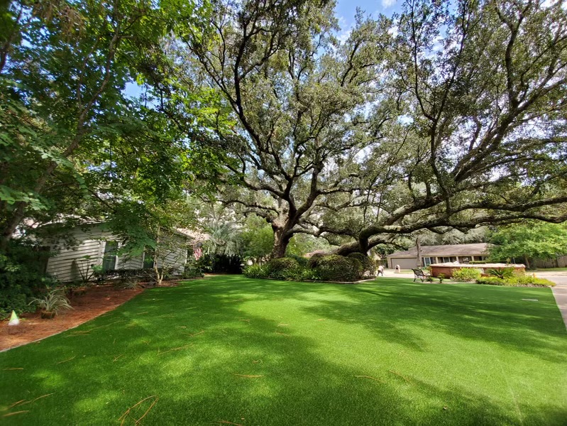 Artificial turf lawn in Orlando